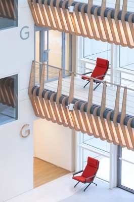 William Moore Fotografie