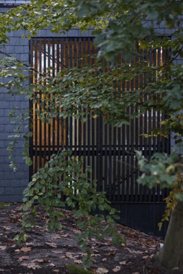 William Moore Fotografie