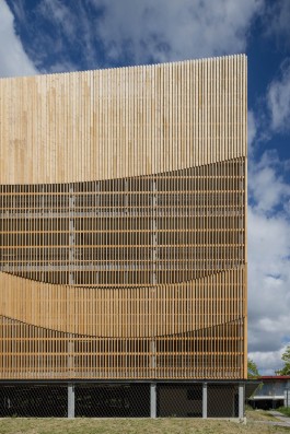 William Moore Fotografie